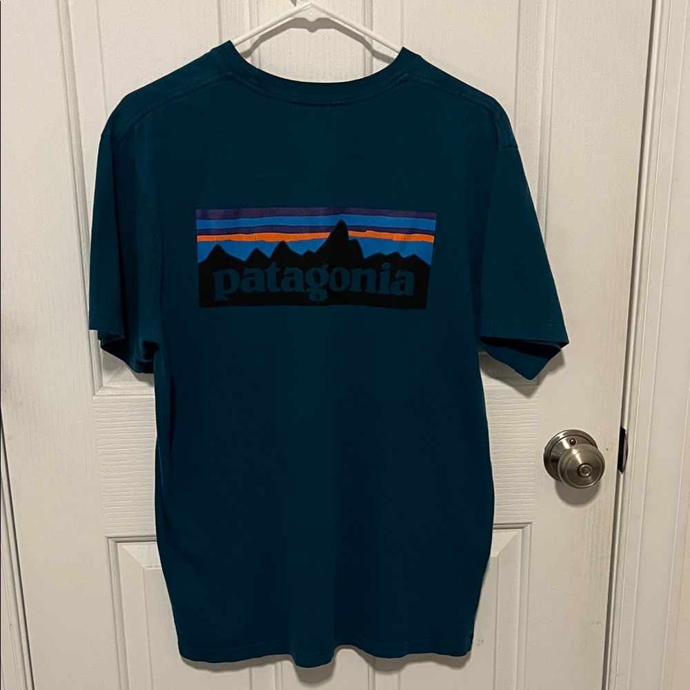 Patagonia Men's Deep Teal Graphic Tee